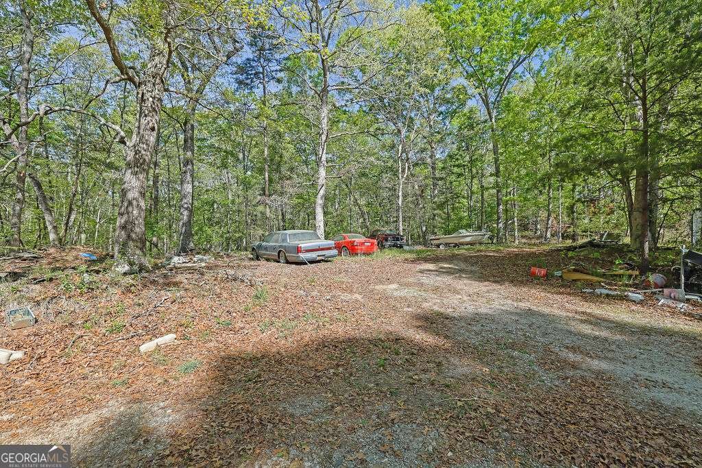 4340 Green Hill Road Gainesville - Photo 48