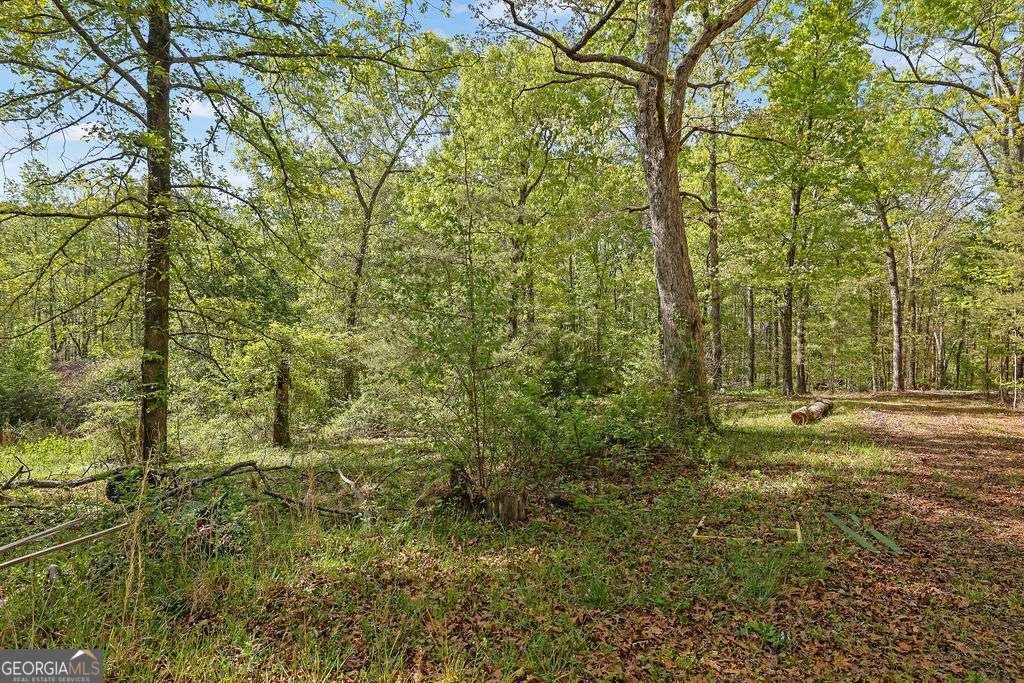 4340 Green Hill Road Gainesville - Photo 49