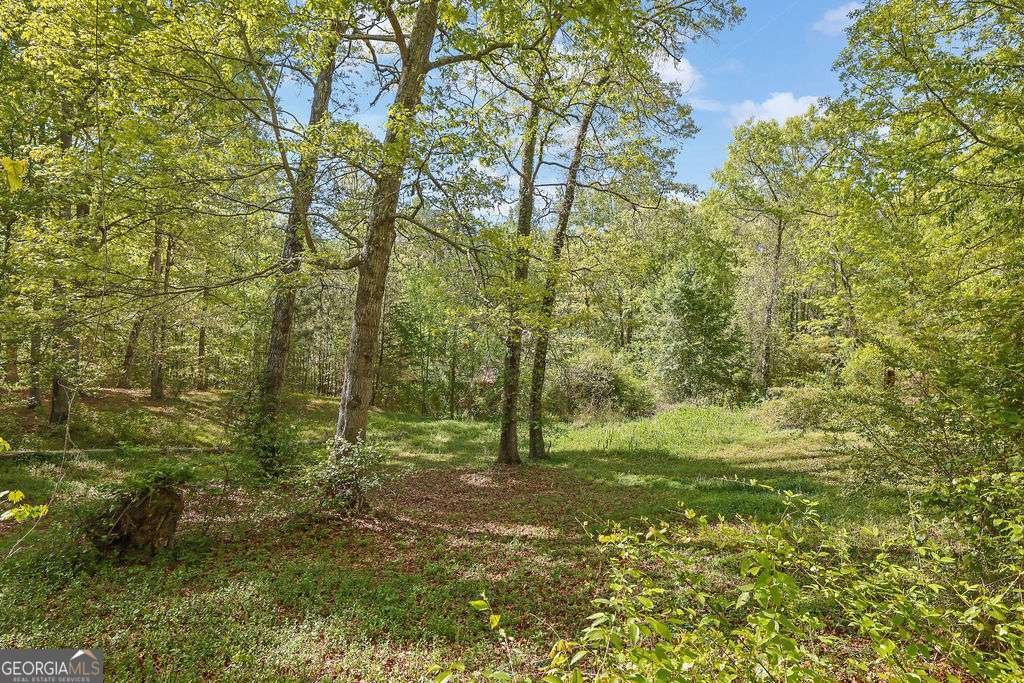 4340 Green Hill Road Gainesville - Photo 50