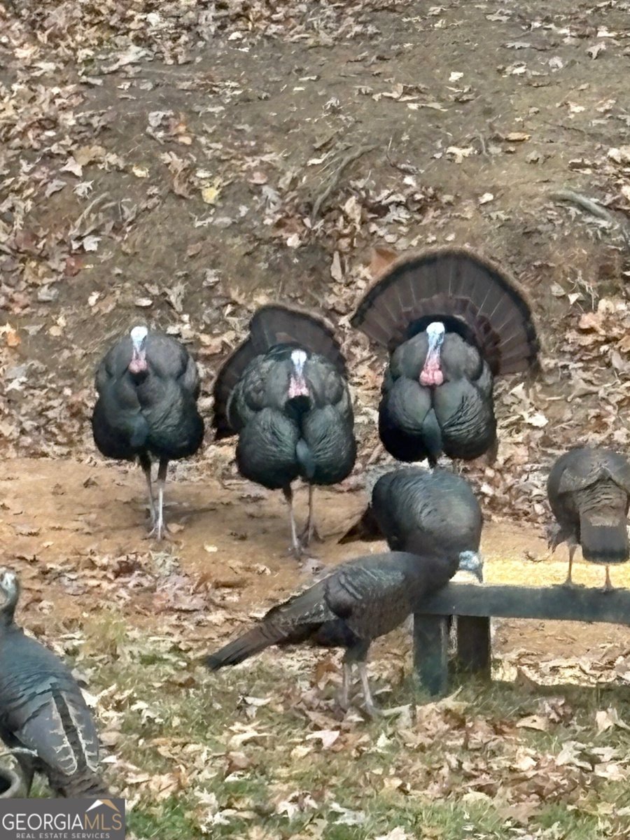 1306 Benbrooke Lane Acworth - Photo 50