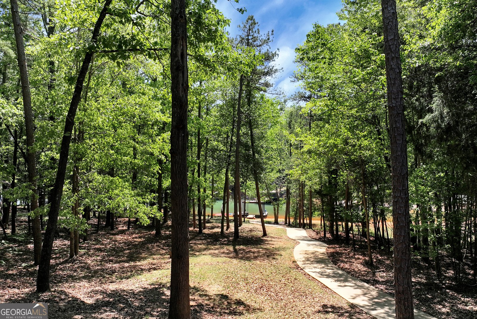 142 Hugh Dorsey Road Hartwell - Photo 47