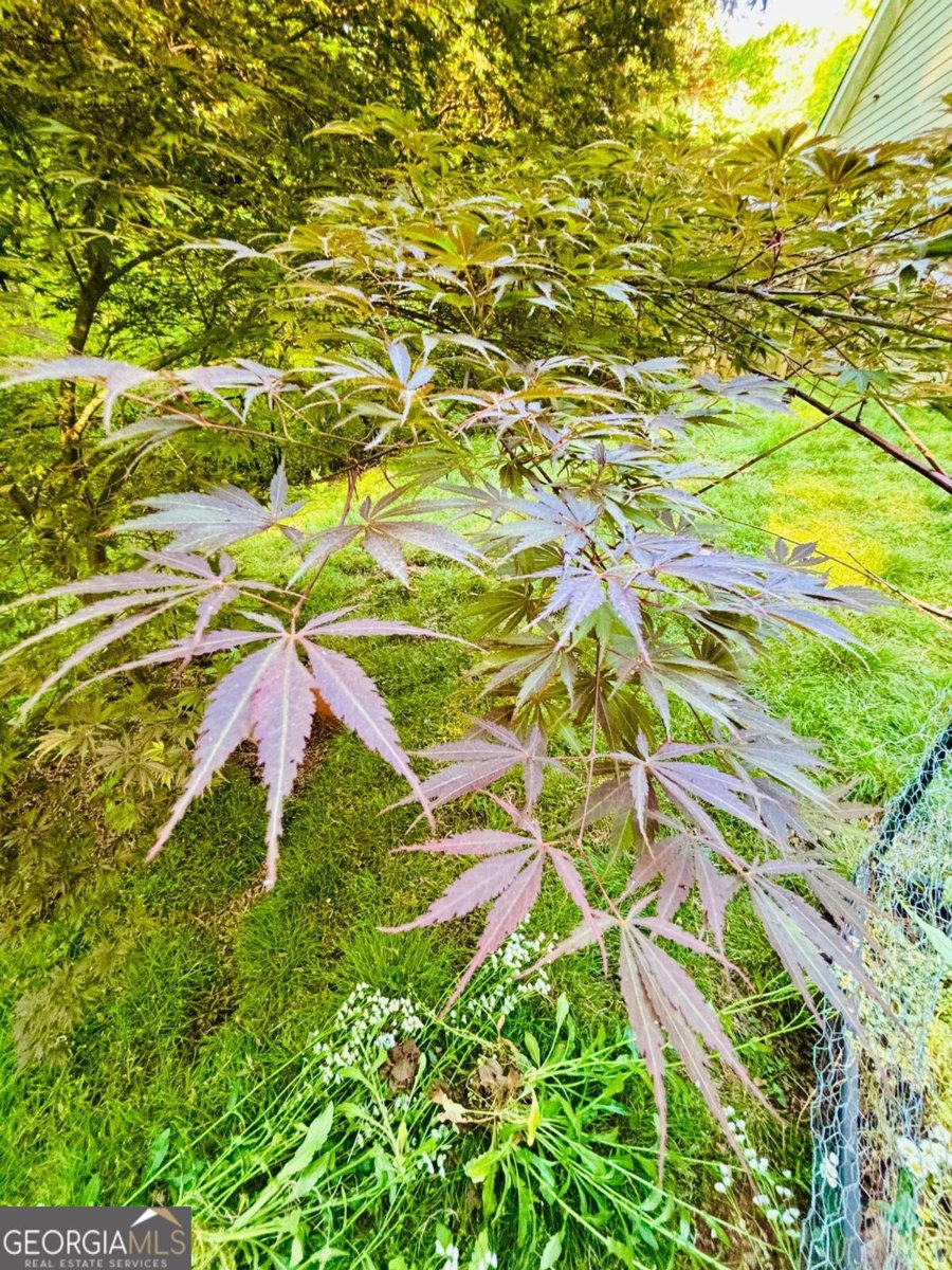 135 Brookstone Place Athens - Photo 26