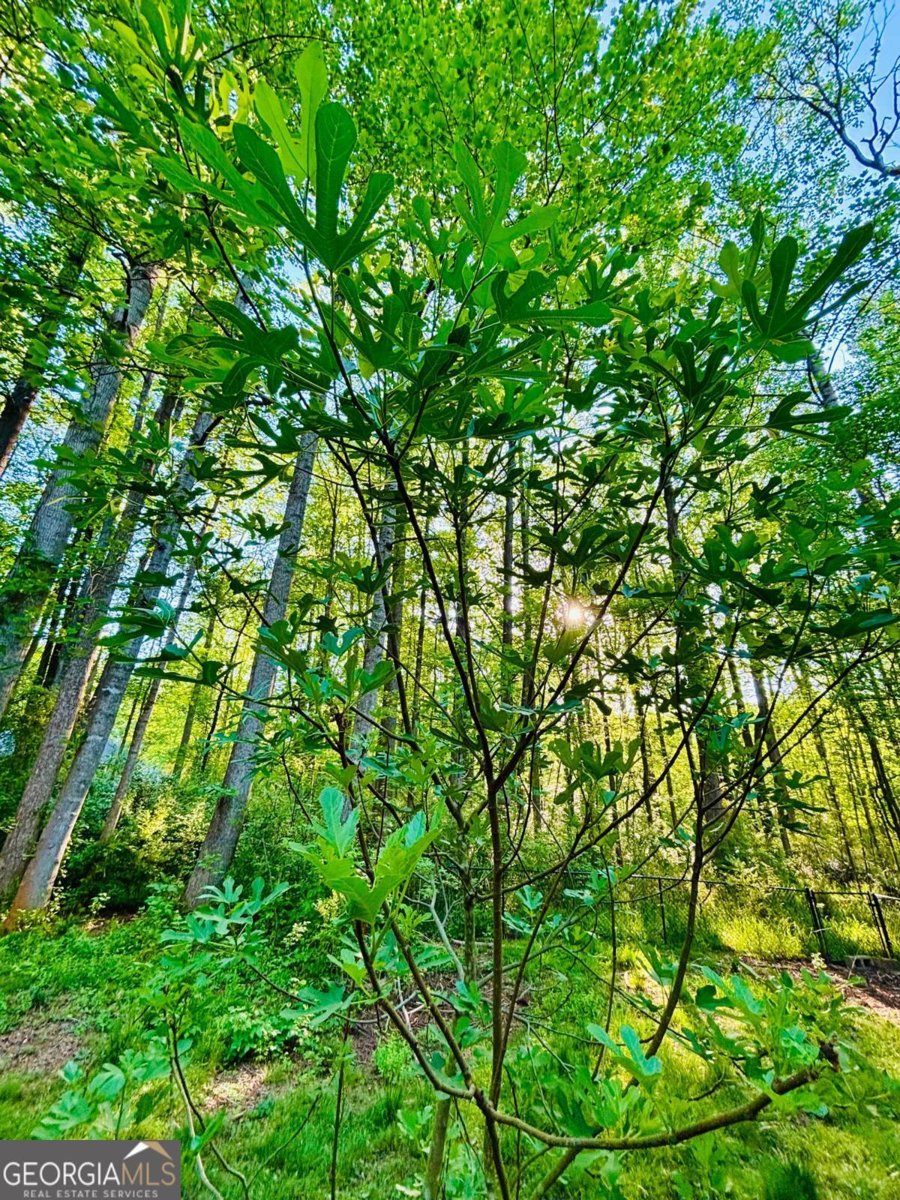 135 Brookstone Place Athens - Photo 27