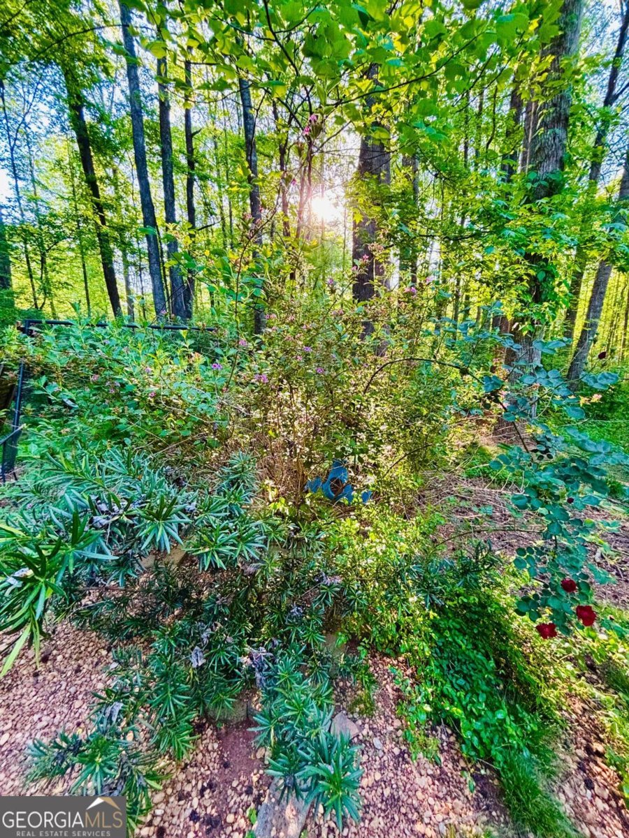 135 Brookstone Place Athens - Photo 28