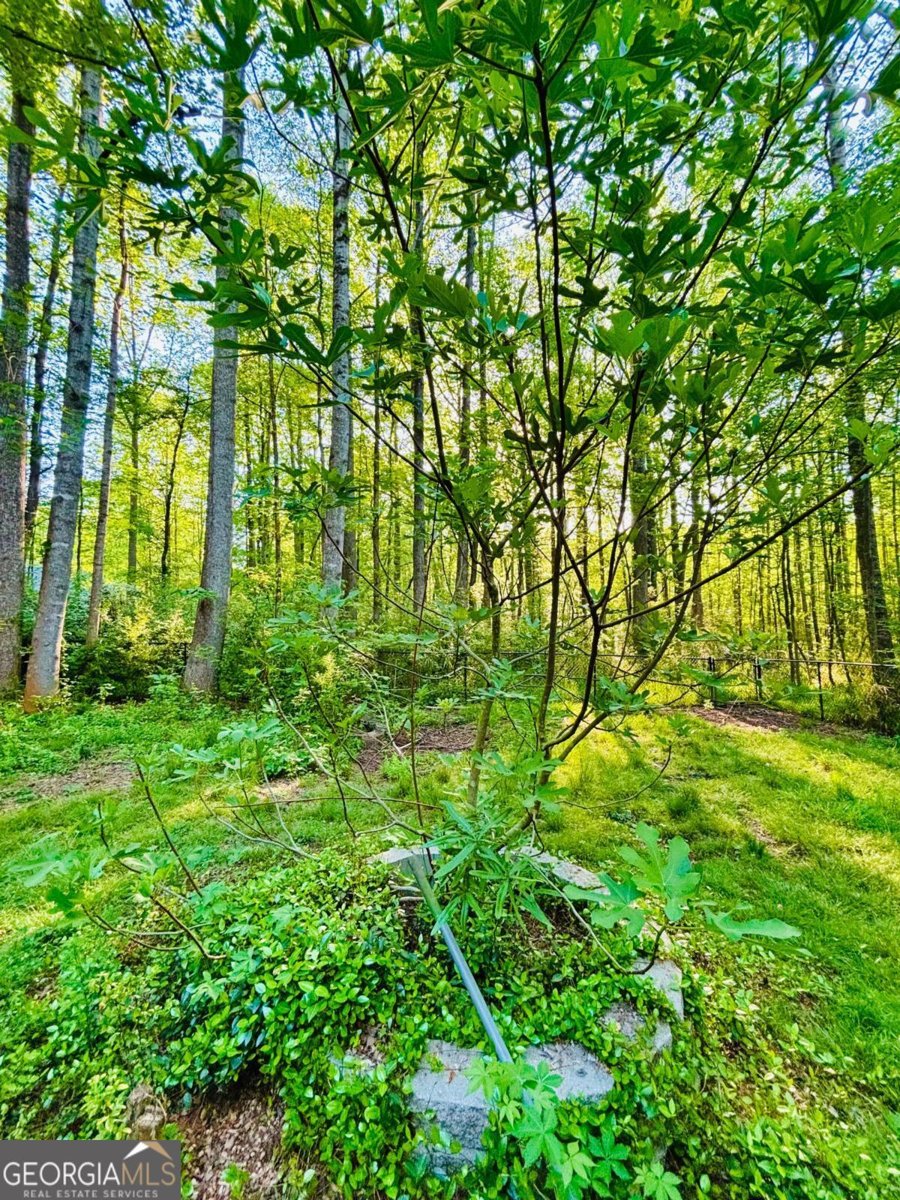 135 Brookstone Place Athens - Photo 31