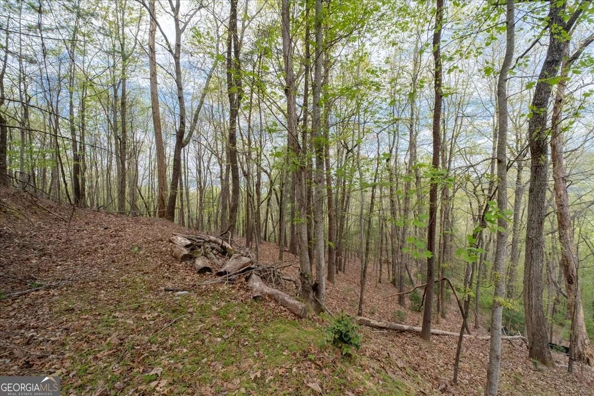 986 Mountain Oak Road Ellijay - Photo 29