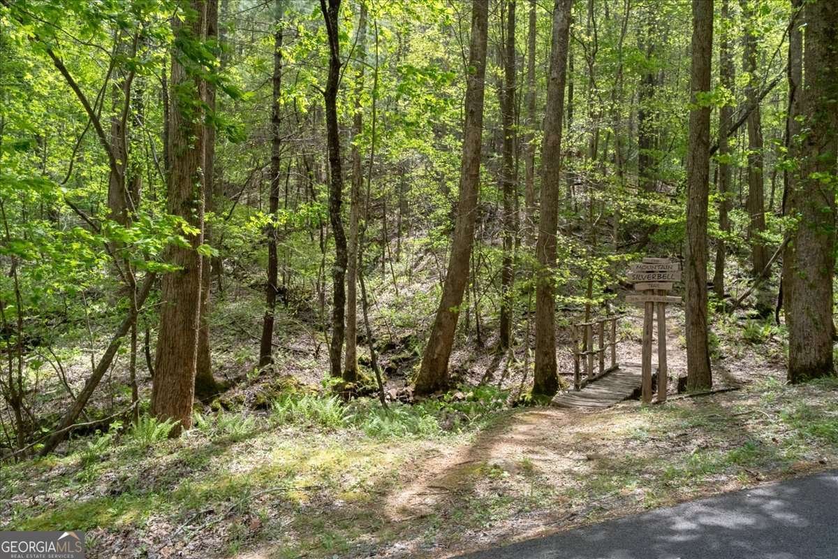 986 Mountain Oak Road Ellijay - Photo 34