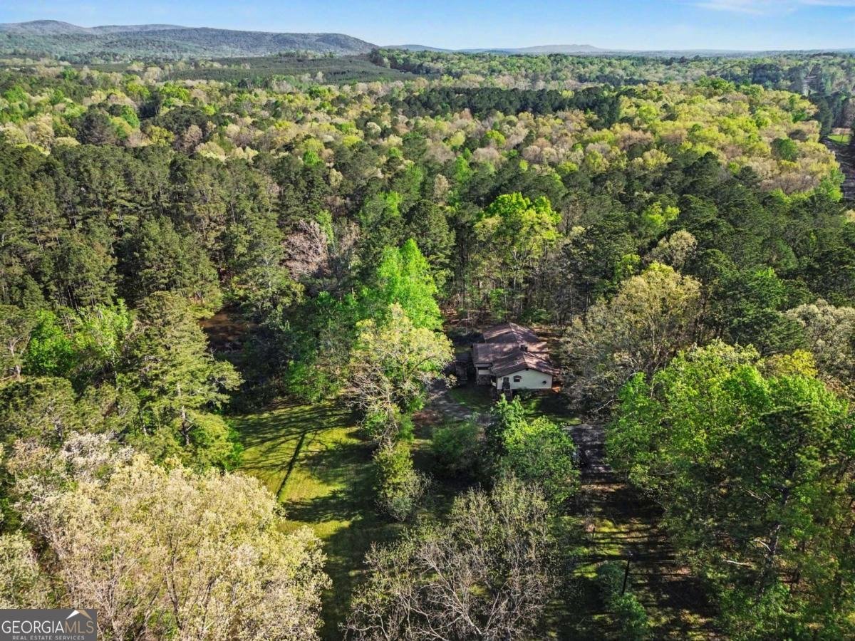 1187 Fincher Road Canton - Photo 10