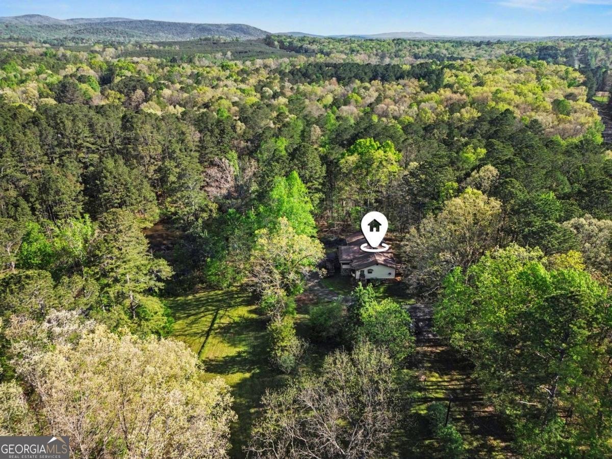 1187 Fincher Road Canton - Photo 16