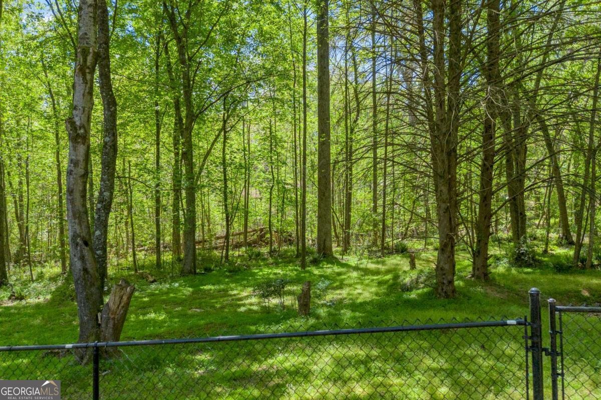 676 Northridge Drive Demorest - Photo 71