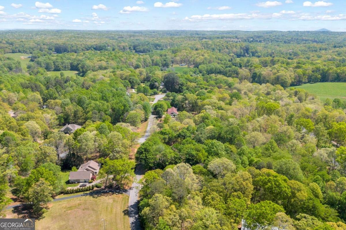 676 Northridge Drive Demorest - Photo 78