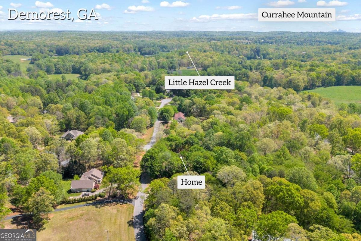 676 Northridge Drive Demorest - Photo 79