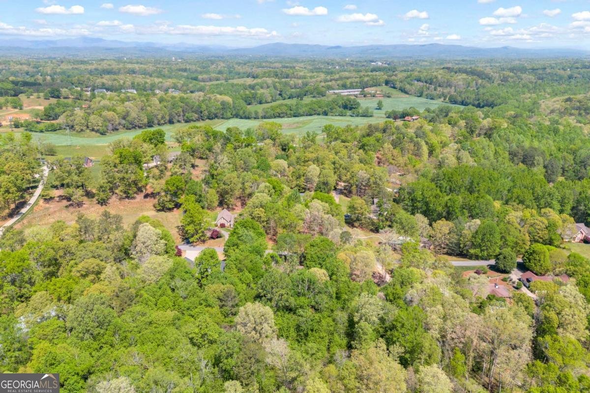 676 Northridge Drive Demorest - Photo 80