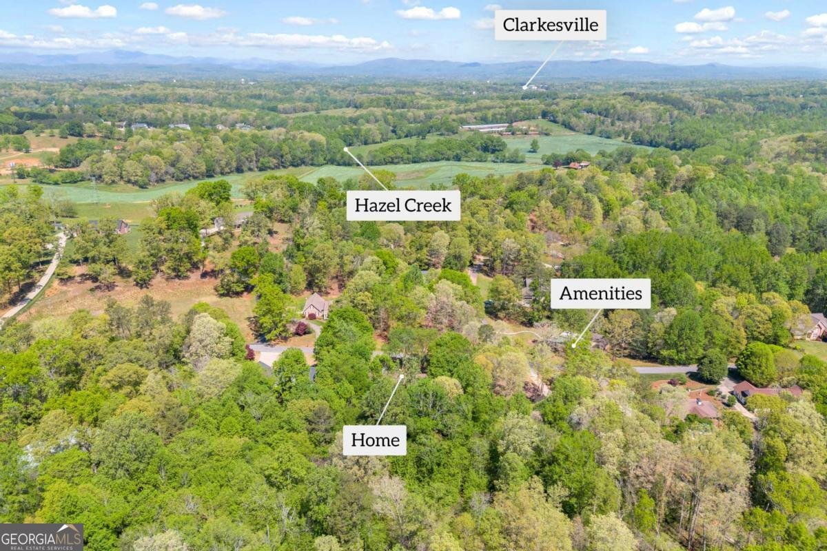 676 Northridge Drive Demorest - Photo 81