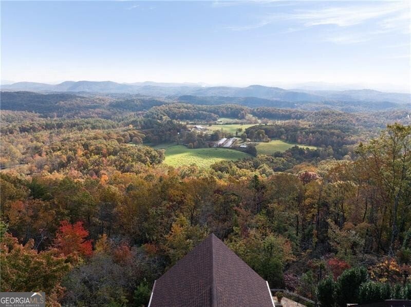 38 Jackies Bluff Road Mineral Bluff - Photo 53