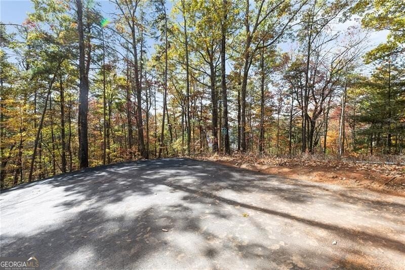 38 Jackies Bluff Road Mineral Bluff - Photo 54