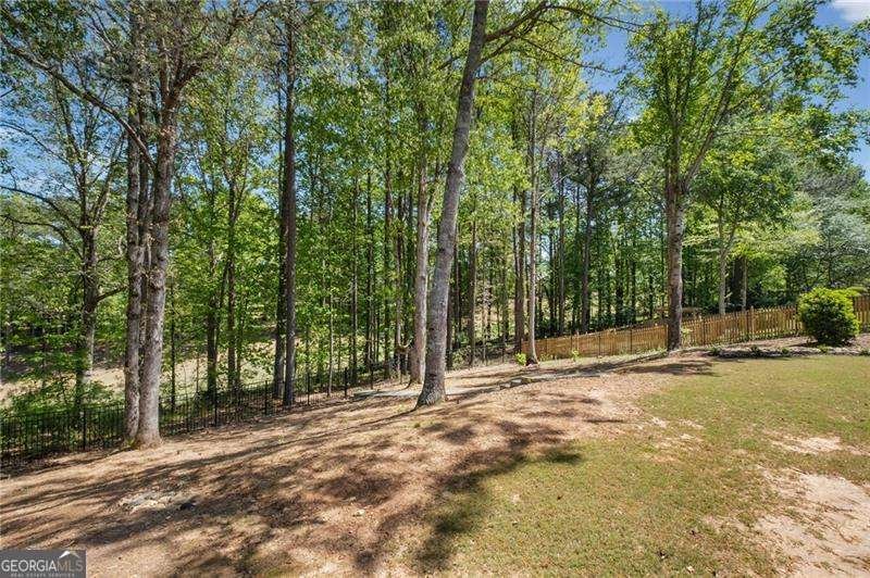 414 Lake Point Trace Canton - Photo 48