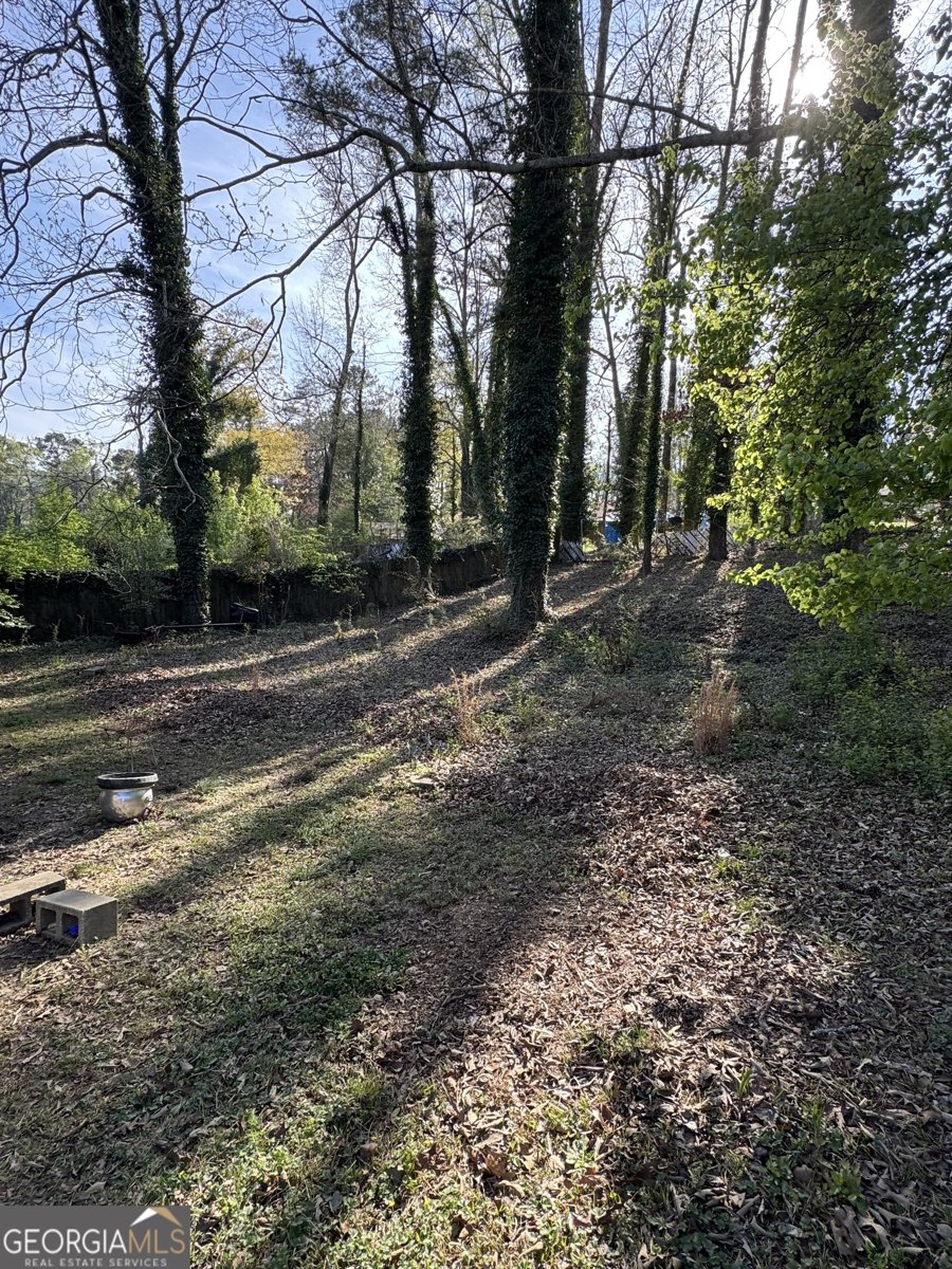 381 Dollar Mill Court Atlanta - Photo 31