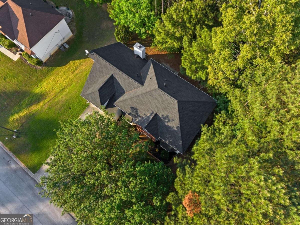 3234 Mineral Ridge Lane Stone Mountain - Photo 44