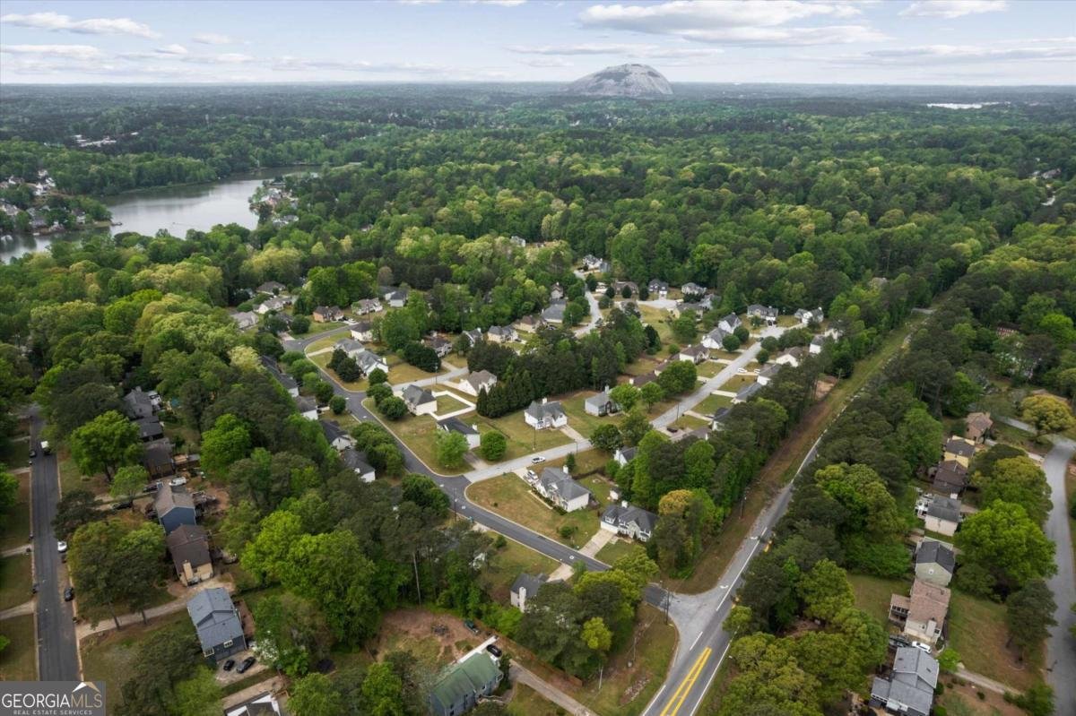 3234 Mineral Ridge Lane Stone Mountain - Photo 47