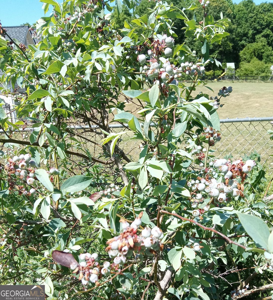 1109 Larkspur Drive Locust Grove - Photo 6