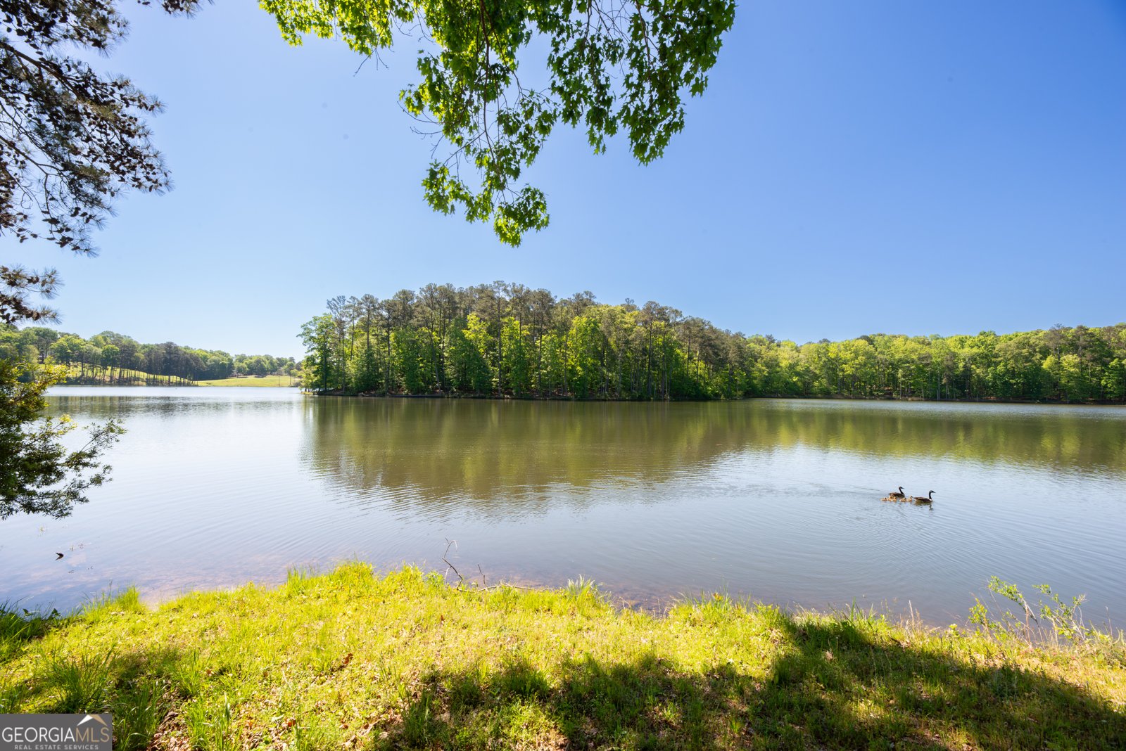 1033 Patina Point Peachtree City - Photo 71