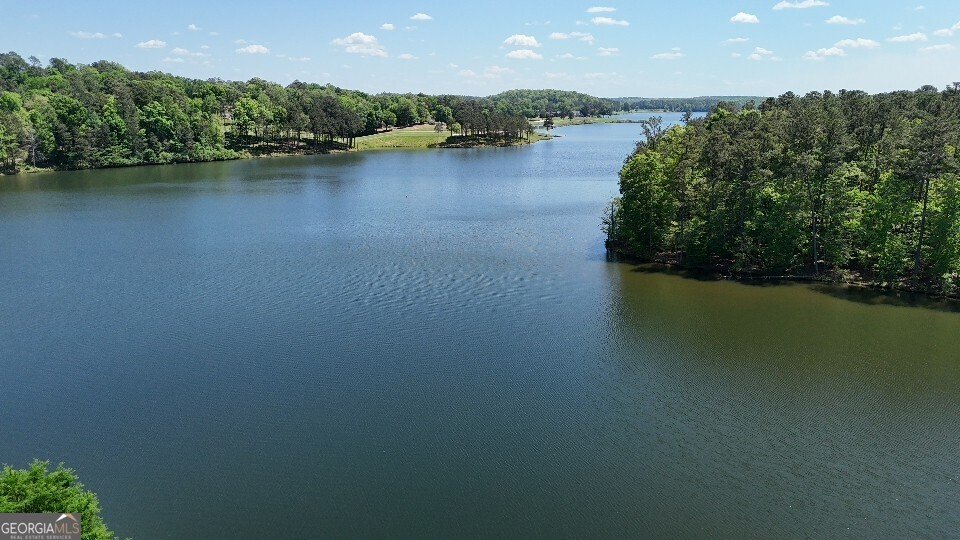 1033 Patina Point Peachtree City - Photo 72