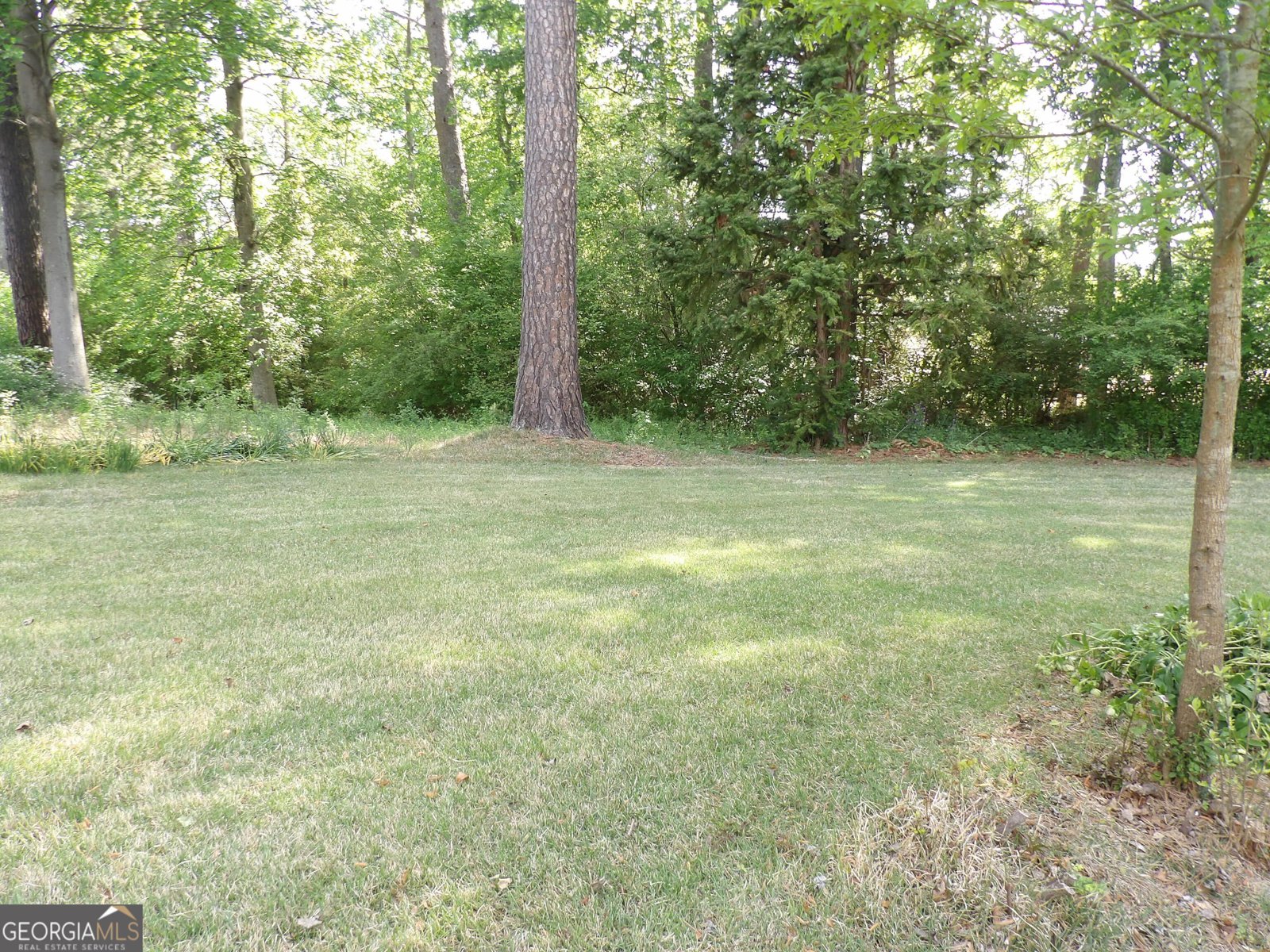 138 Ponderosa Drive Dallas - Photo 39