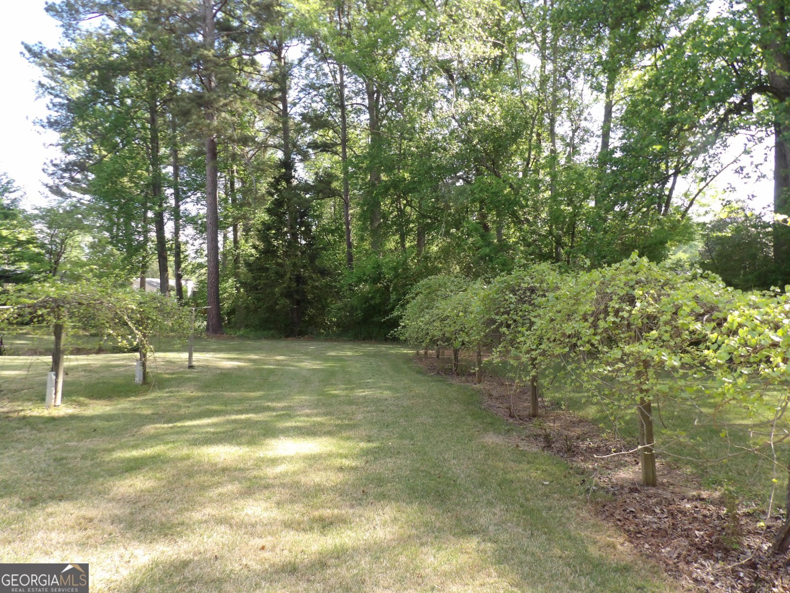 138 Ponderosa Drive Dallas - Photo 47