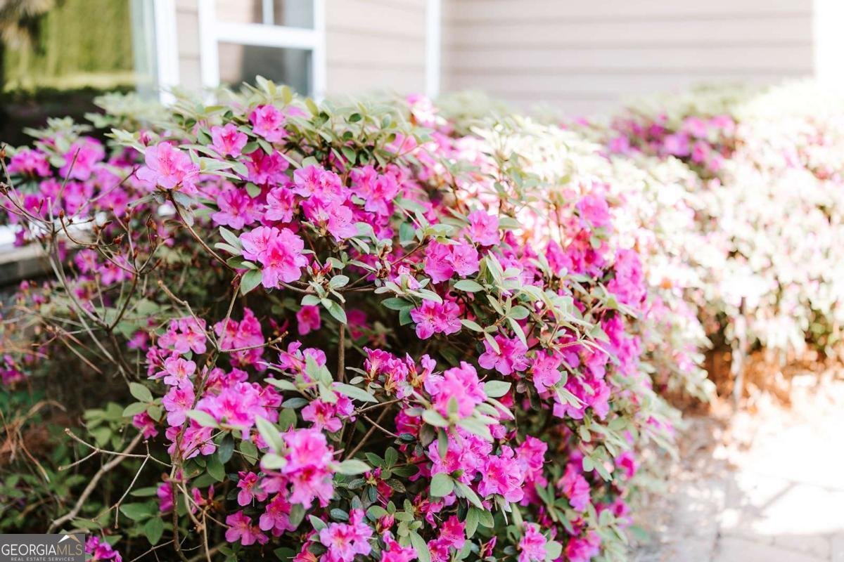 3881 Alexandria Drive Gainesville - Photo 73