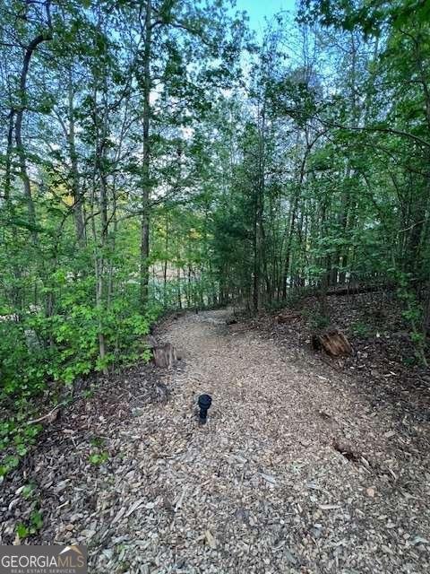 3881 Alexandria Drive Gainesville - Photo 78