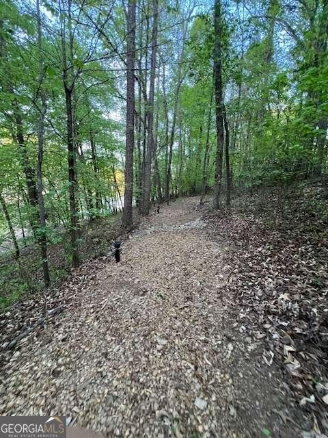 3881 Alexandria Drive Gainesville - Photo 79