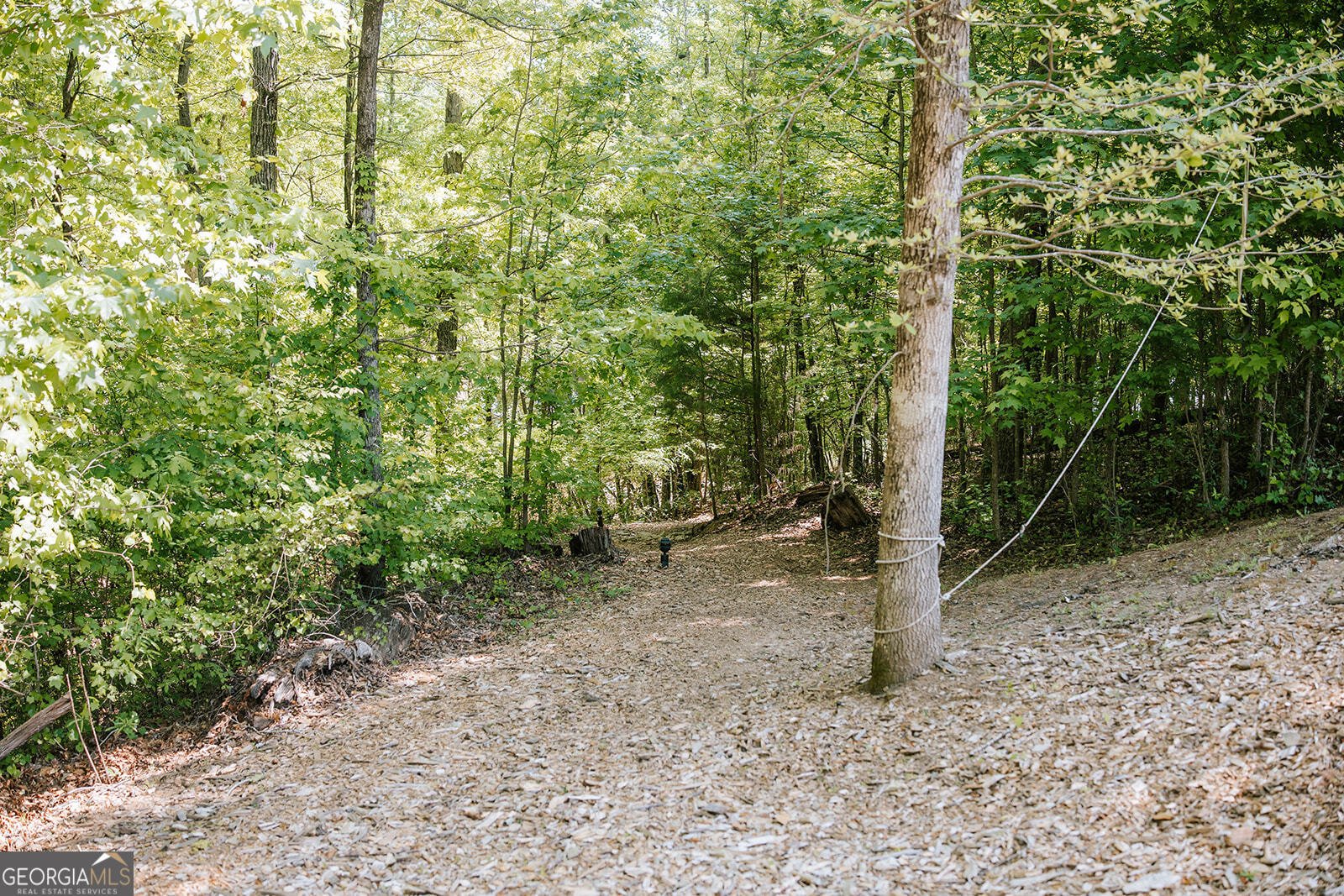 3881 Alexandria Drive Gainesville - Photo 87