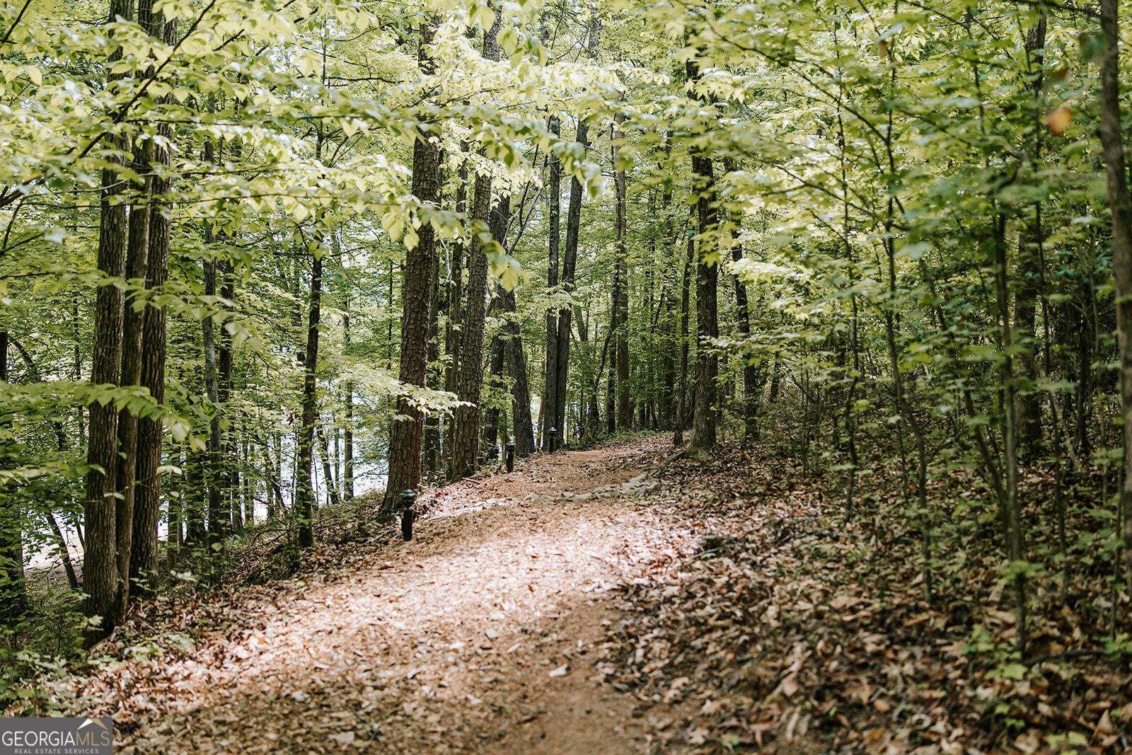 3881 Alexandria Drive Gainesville - Photo 91