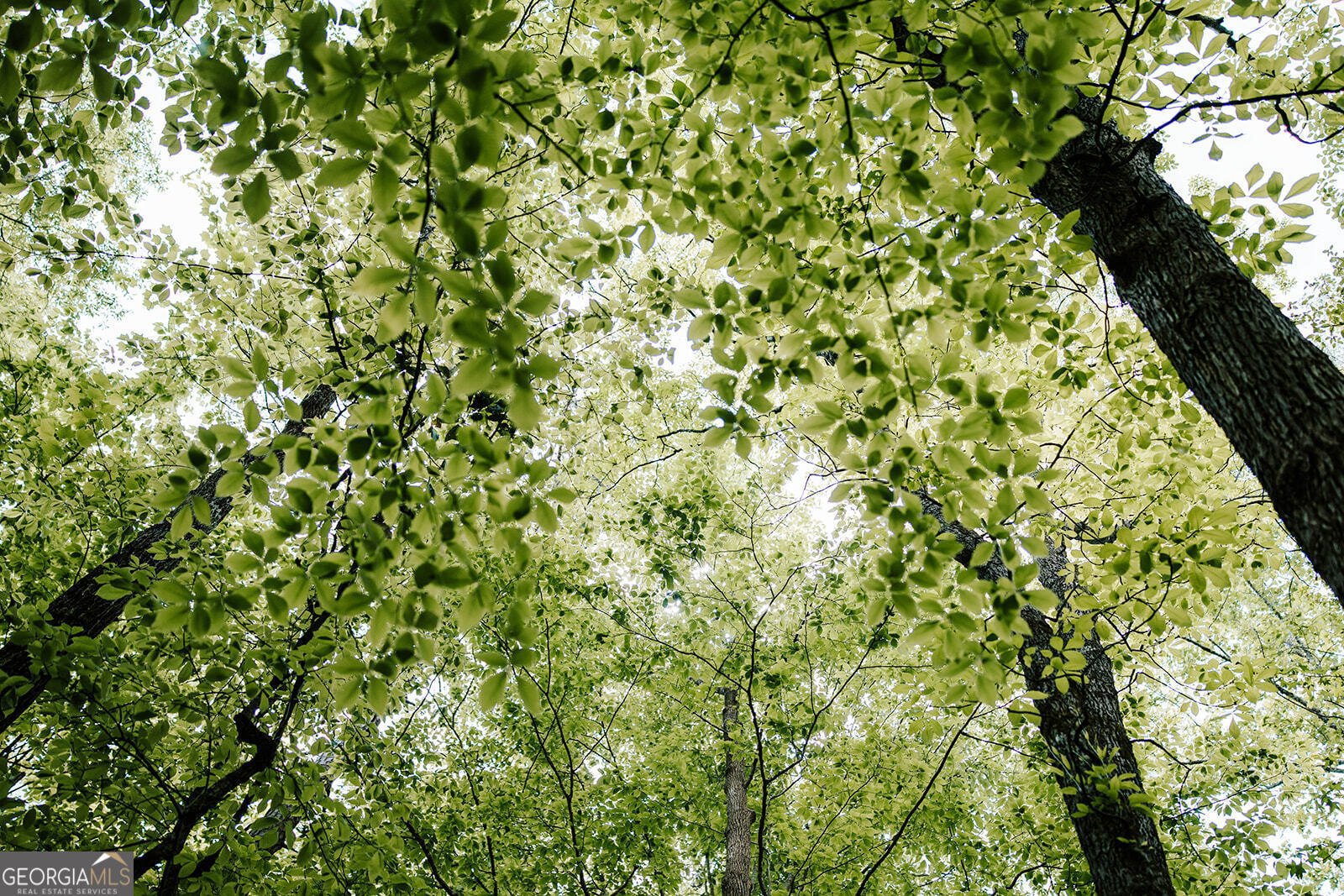 3881 Alexandria Drive Gainesville - Photo 92