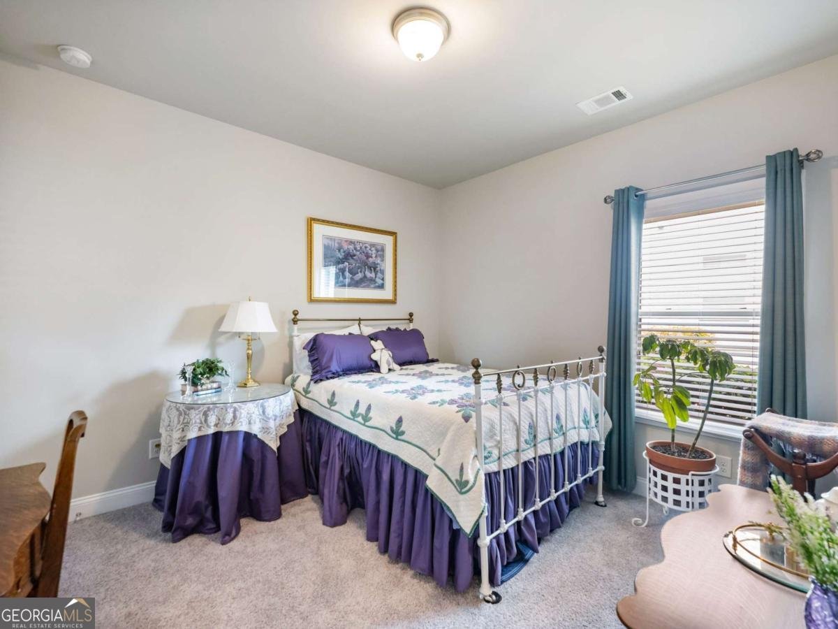 7174 Boathouse Way Flowery Branch - Photo 19