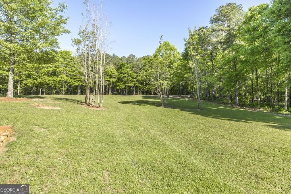 3365 Us Highway 80 Roberta - Photo 29