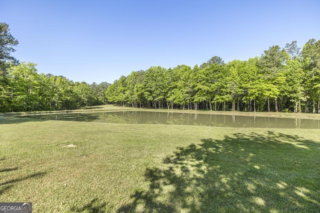 3365 Us Highway 80 Roberta - Photo 31