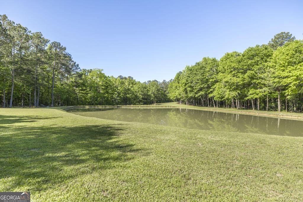 3365 Us Highway 80 Roberta - Photo 32