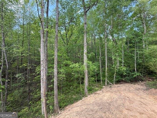 48 ITHICA Court Jasper - Photo 41