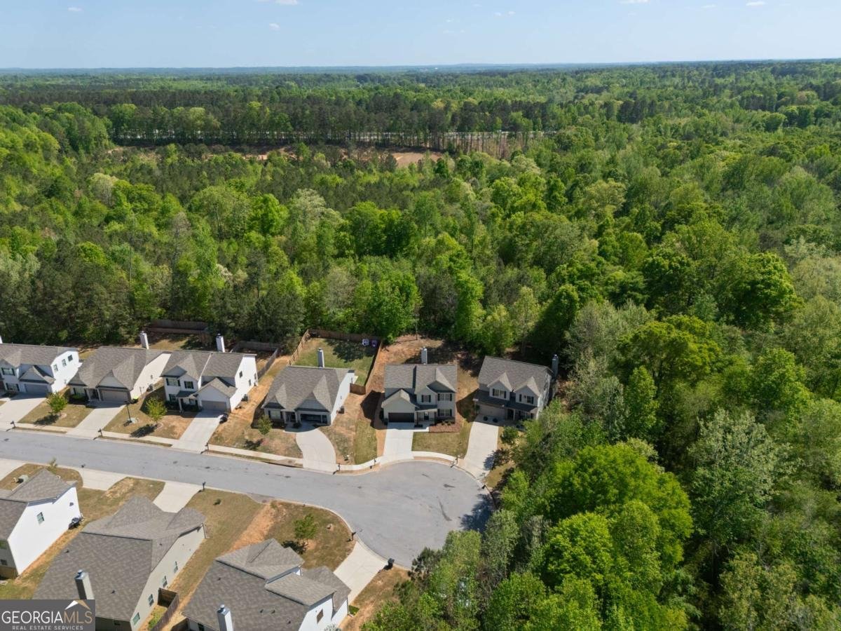 434 Daffodil Drive Temple - Photo 41