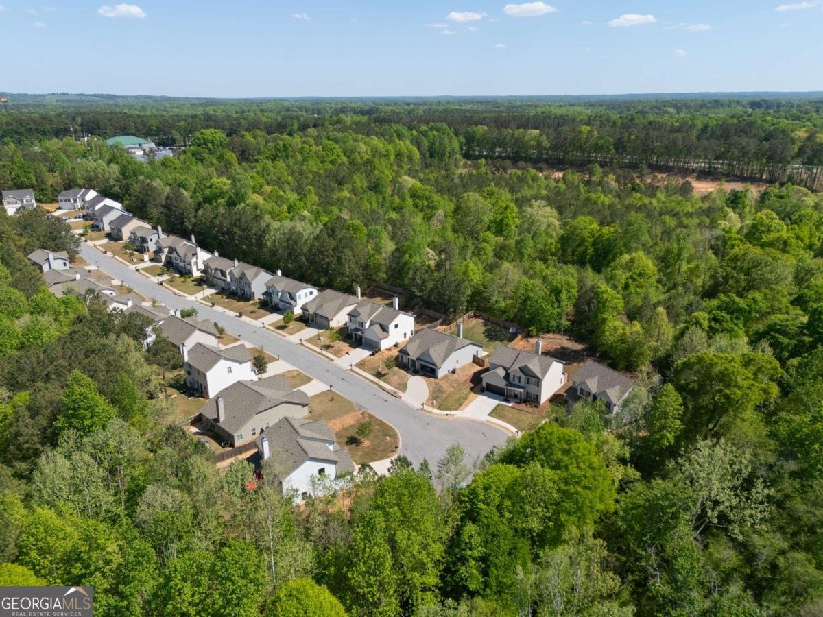 434 Daffodil Drive Temple - Photo 42