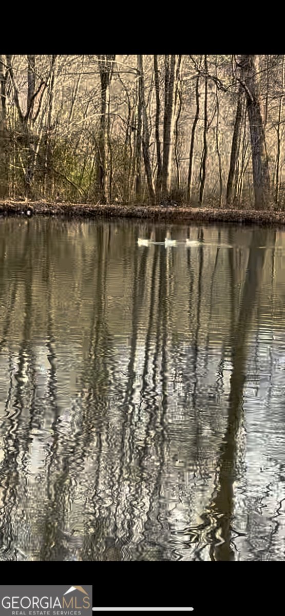 27 Hughes Road Hiram - Photo 39