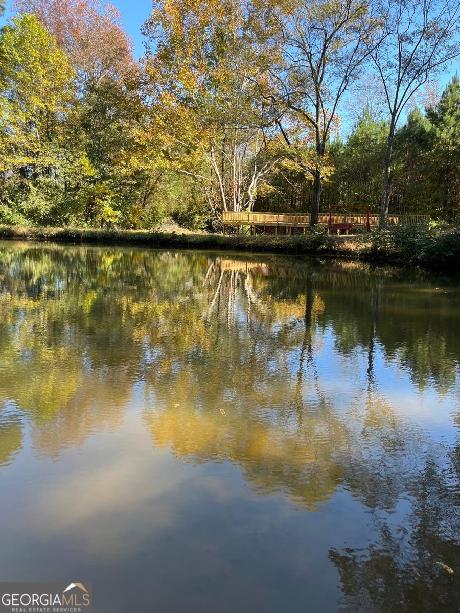 27 Hughes Road Hiram - Photo 63