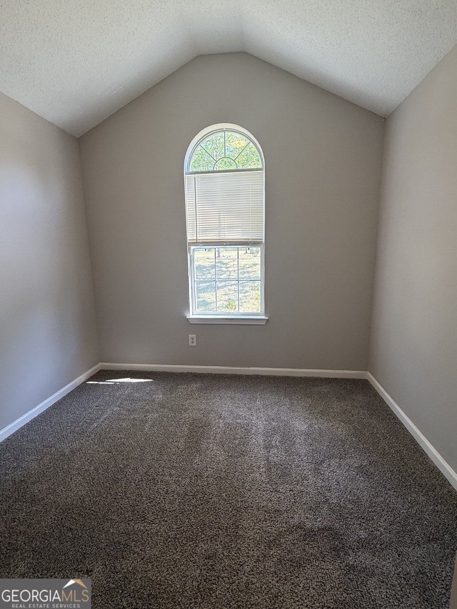 6790 Manor Creek Drive Douglasville - Photo 15