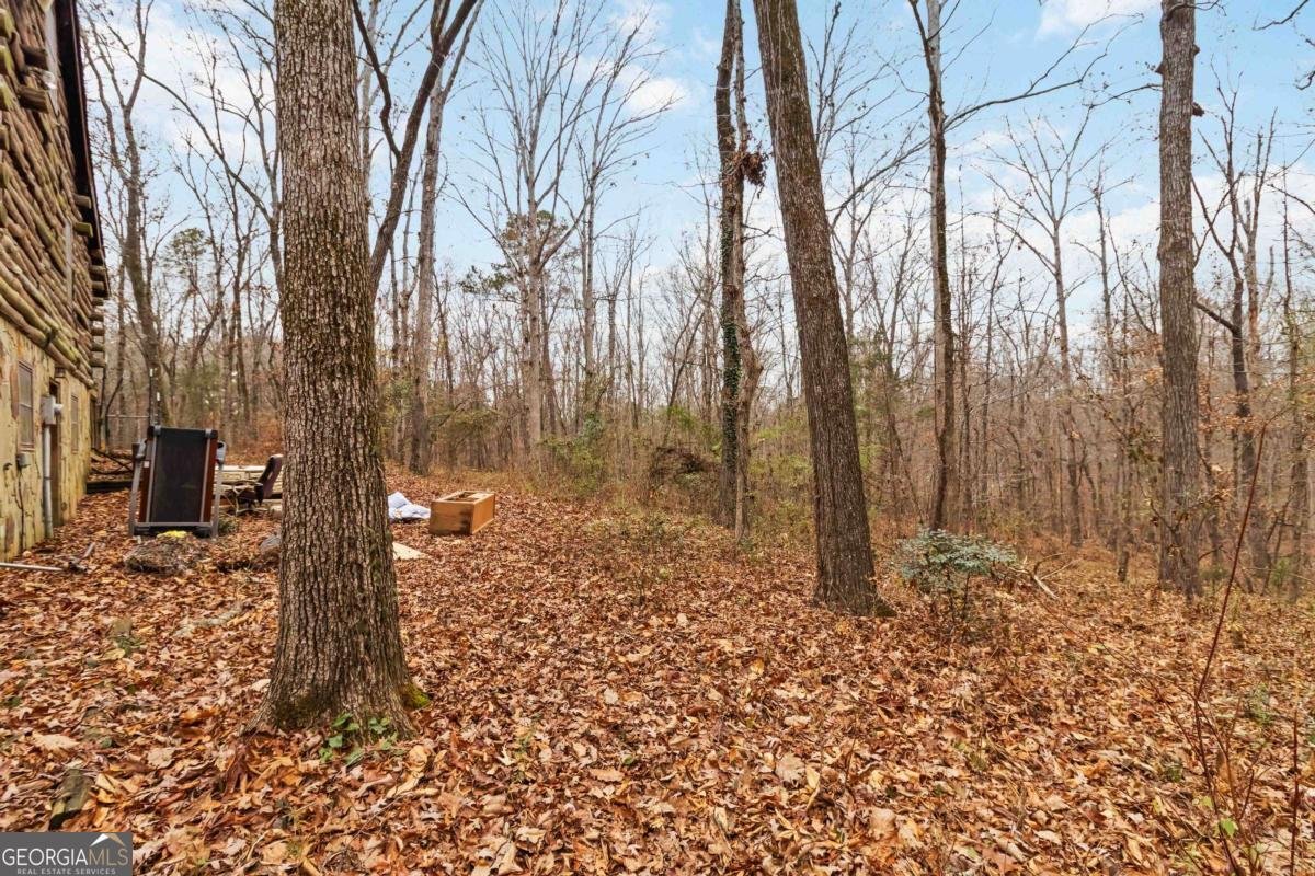 1060 Bethel Road Conyers - Photo 29