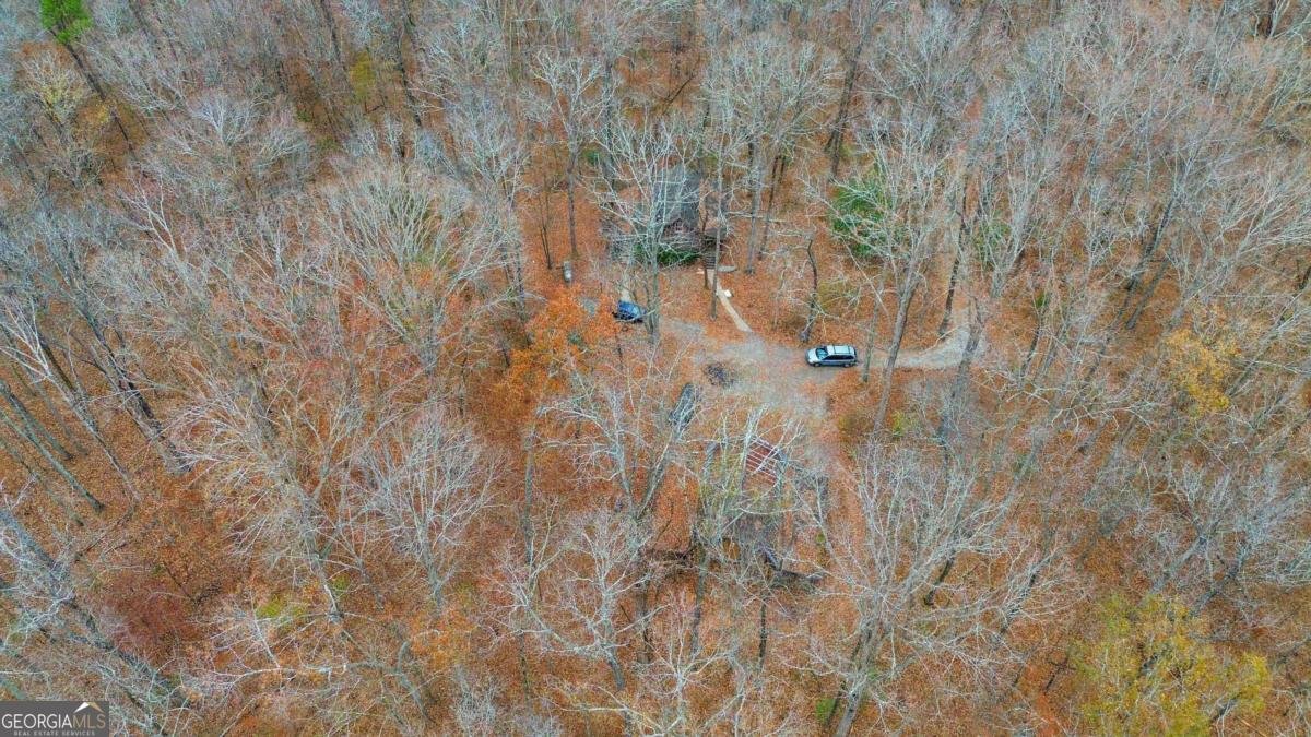 1060 Bethel Road Conyers - Photo 36