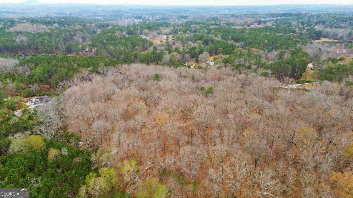 1060 Bethel Road Conyers - Photo 37