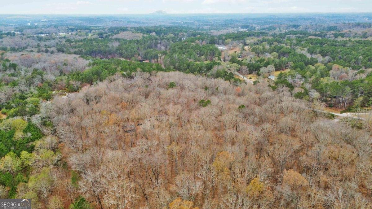 1060 Bethel Road Conyers - Photo 38