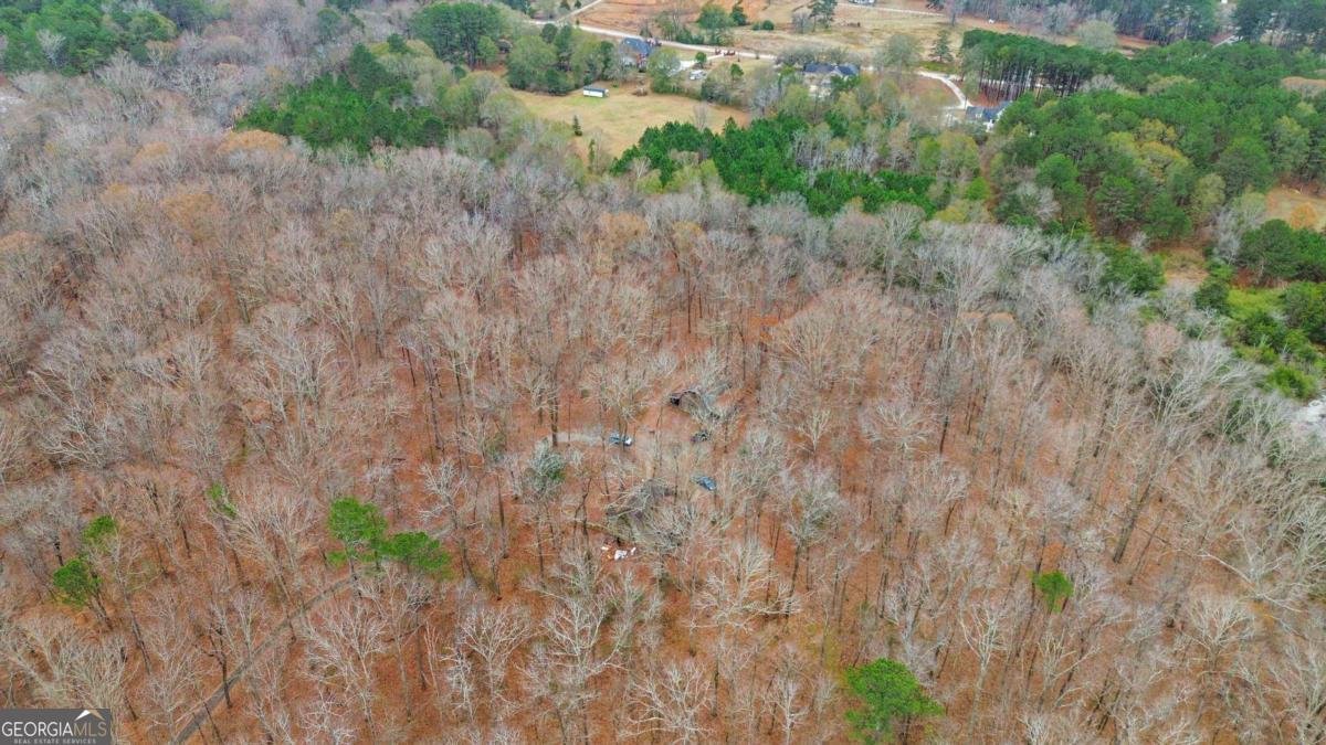 1060 Bethel Road Conyers - Photo 42